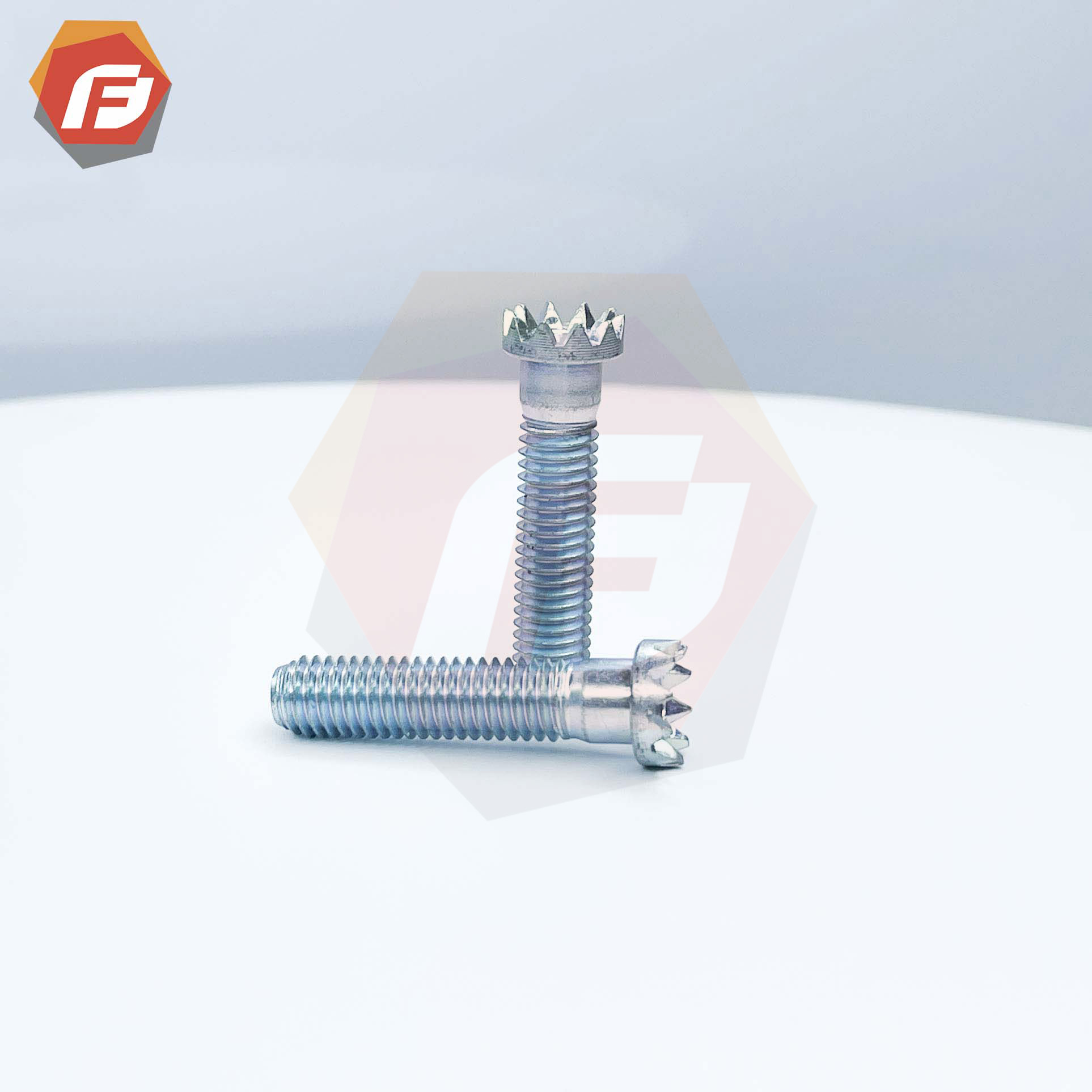 Special-Shaped Screw